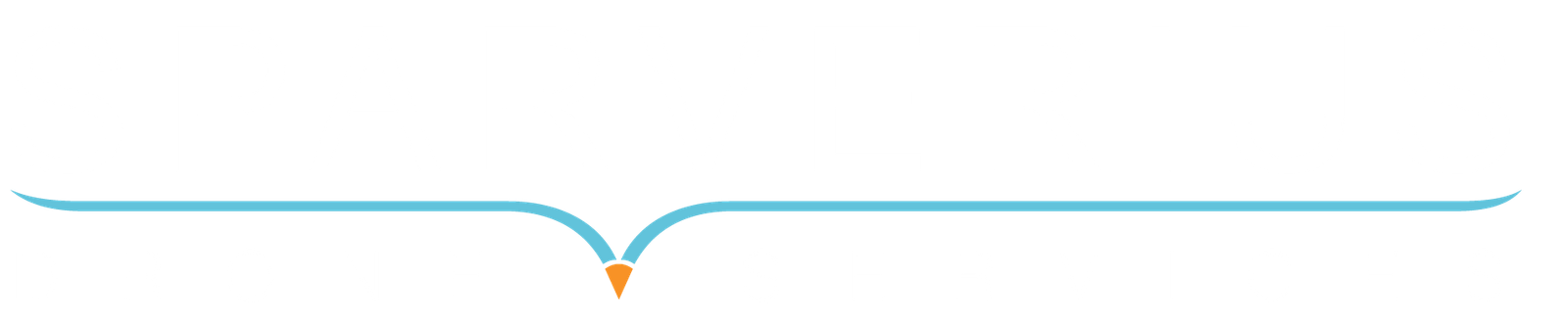 SPARVERIUS Drone Services